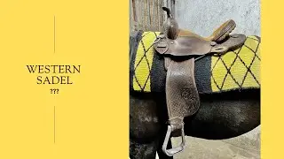 Hur sadlar man med en westernsadel?  #westernsadel #häst #sadel #hurgörman #westernhäst