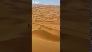 Walking alone in the desert