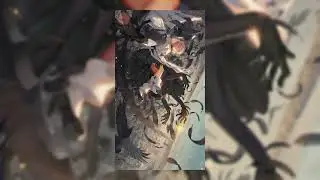 Hyper rock x Hyperpop Type Beat  fallen angel