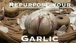 How to Repurpose Old Garlic