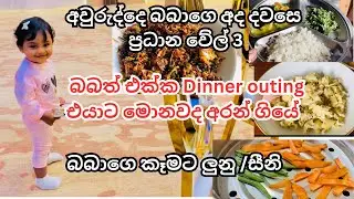 අවුරුද්දෙ බබාගෙ අද දවසේ කෑම|බබත් එක්ක Dinner outing යද්දි මං මොනවද ගෙනියන්නෙ|බබාගෙ කෑමට ලුනු,සීනි