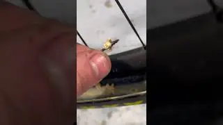 Cambio de l&iacute;quido tubeless