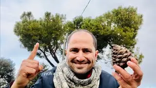 CONHE&Ccedil;A O PINOLE DIRETO DA IT&Aacute;LIA