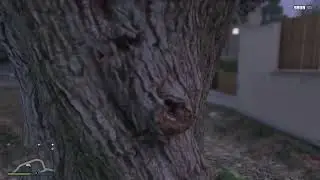 Grand Theft Auto V Xbox One climb in tree glitch