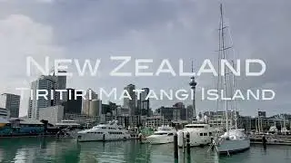 Best of New Zealand: Tiritiri Matangi Island