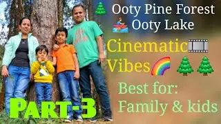 Ooty Day 3 🌲🚣&zwj;♂️ | Pine Forest, Lake View & Shooting Point #teekupeeku  #ooty #pineforest #Lakeview 