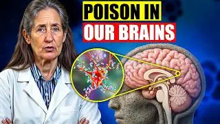 Your Brain Is FULL of Plastic&mdash;Here's How To Detoxify It NOW | Barbara O&rsquo;Neill