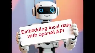 Embedding local data with openAI API and Python