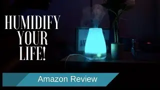 Best Inexpensive Humidifier| Amazon Review
