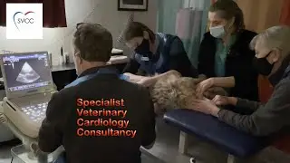 Annual heart scan with a surprise.