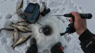 Просто кучи РЫБЫ и СТАИ судаков! Рыбалка на Обском водохранилище!