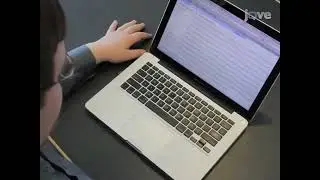 Систематический подход к прогнозированию структуры и функции белков с использованием вычислительн...
