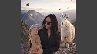 Pretty Little Mountain Goat