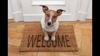 Dog Parks for Pet-Friendly Communities & Resorts