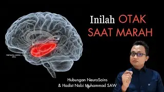 3 Taktik Otak [Neurosains] untuk Hentikan Amarah Seketika (Sesuai Hadits Nabi)