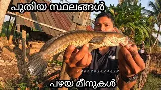 ചറപറാ വരാൽ അടിക്കുവാണല്ലോ. Snakehead fishing. Lurecraft piggy.