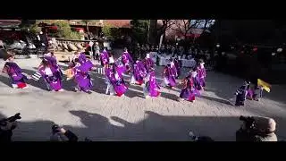 うふふ　2nd初詣ダイコク市よさこい奉納演舞　出雲大社相模分祠