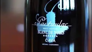 Nota de Cata Cava Particular Garnacha Blanc de Noir 2