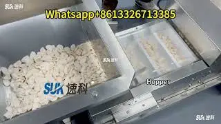 High-Speed Vertical Packaging Machine forPuffed Snacks: Automate Your Snack Production Line!