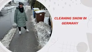 Snowy Sidewalk Cleanup + Taking Down the Christmas Tree