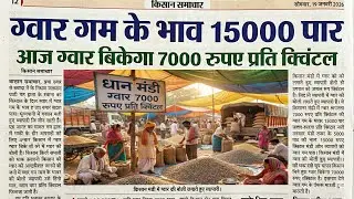 राजस्थान ग्वार मंडी भाव/ग्वार के भाव आज के/आज ग्वार में कितनी आई तेजी देखें भाव/ग्वार का भाव /#ग्वार