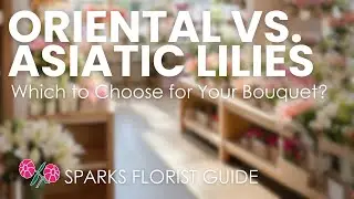 Oriental vs. Asiatic Lilies: Which to Choose for Your Bouquet? (Sparks Florist Guide)