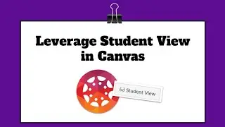 Leverage Student View in Canvas