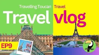 Top 10 Paris Hotels You Can't Miss! ✨From TripAdvisor Top 10 Rankings  | 🦜 #TheTravellingToucan