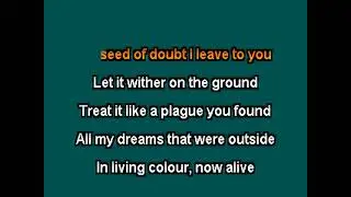 Bruce Dickinson   Chemical Wedding    clay wood karaoke