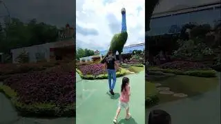 patung burung merak raksasa #burungmerak #wisata #videoanak #shorts