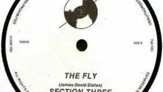 Section Three - The Fly