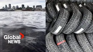 Divers remove hundreds of tires from St. Lawrence River near Montreal
