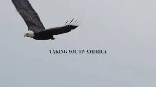 US EB-5 Visa: Expedited Green Cards (Arcasia Advisors)