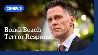 NSW Premier calls for Royal Commission and bolsters hate speech laws | ABC NEWS