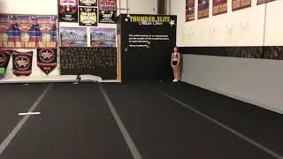 Running whip through to Layout
