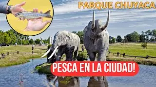 PESCA URBANA DE TRUCHAS EN EL PARQUE CHUYACA