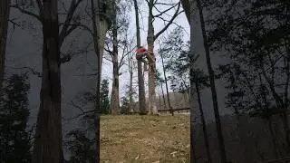 Quick Tree Problem