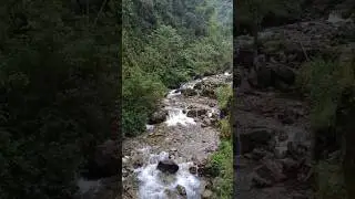 Birding in Machu Picchu Per&uacute; #birdingperutrips #birdsofperu #shorts #birdslovers