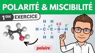 Molécule polaire et miscibilité 🎯 Exercice | 1ère | Chimie