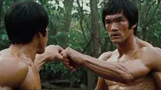 The MARTIAL ARTS Expert's Guide to Understanding Bruce Lee's Jungle Scene