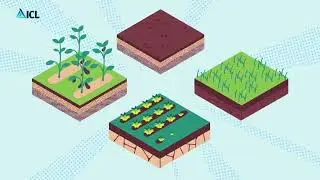 ICL Controlled Release Fertilizers for Superior Performance