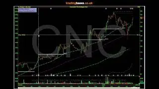 How to approach the markets, current leadership & where will we find tomorrows leaders.