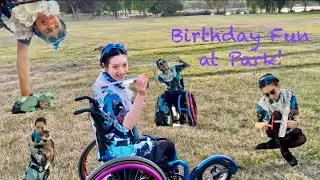Fun At a Park 4 my #birthday #goose #bento #voidcat park  #toyplane #wheelchair  #wheelchairlife 