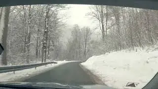 driving... #shorts