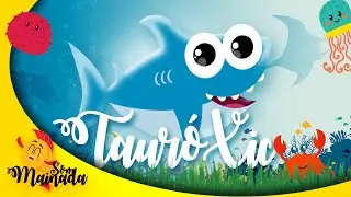 💛 Som Mainada | TAUR&Oacute; XIC 🦈💦 | Fugim tots dud&uacute;-dur&uacute;-dur&uacute;! ♪♫♬