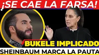 ¡SE CAE EL PAÍS MÁS SEGURO DEL MUNDO! BUKELE ES UN N4RC0 ¡TRUMP EN PÁNICO! SHEINBAUM TIENE NOMBRE