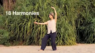 18 Harmonies (Sh&iacute;bā Sh&igrave;) Qigong & Tai Chi basic form