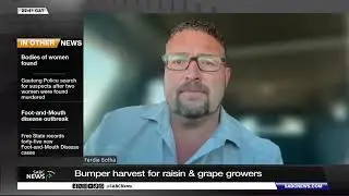 Bumper harvest for raisin and grape growers