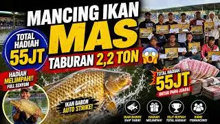 MANCING IKAN MAS TABURAN 2,2 TON 😱 DAN TOTAL HADIAH 55JT ‼️