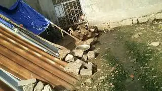 Sharp sh02g cam test